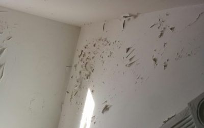 Why is paint peeling on the interior of my Toronto home?