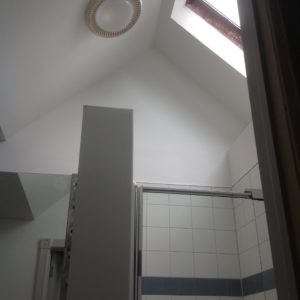 Bathroom with shower- Toronto Home Painting - House Painters, CAM Painters
